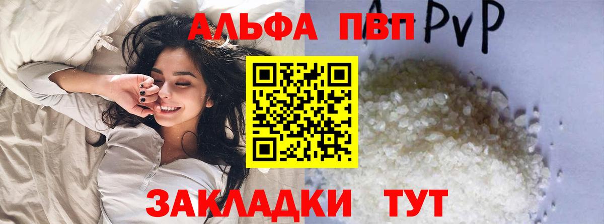 A PVP СК Ржев